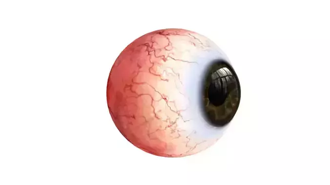 Realistic Human Eyeball 3D Model