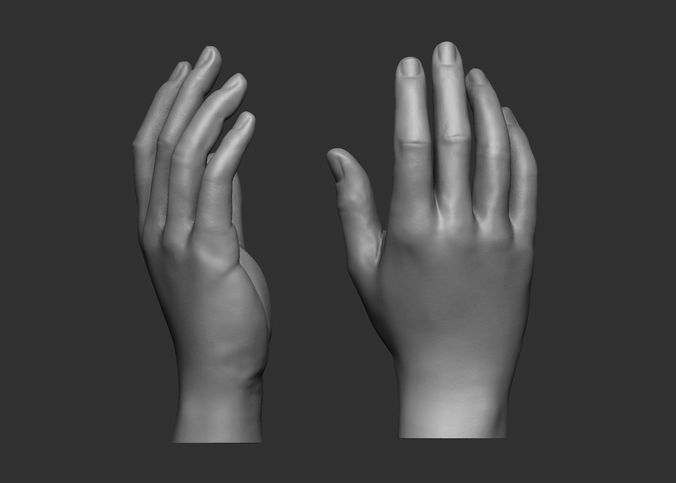 Female hand pose 1 3D print model