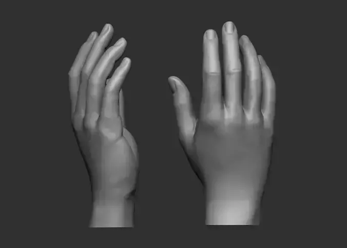 Female hand pose 1 3D print model