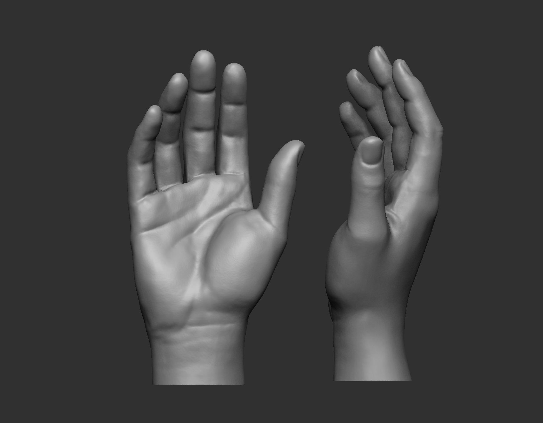 Female hand pose 1 3D print model_1