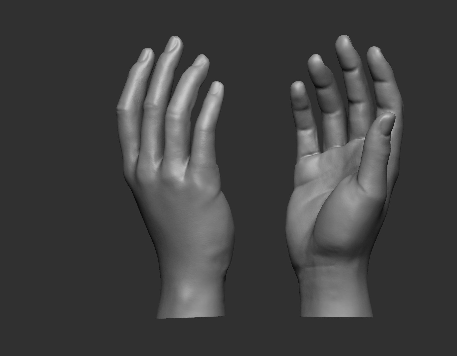 Female hand pose 1 3D print model_2