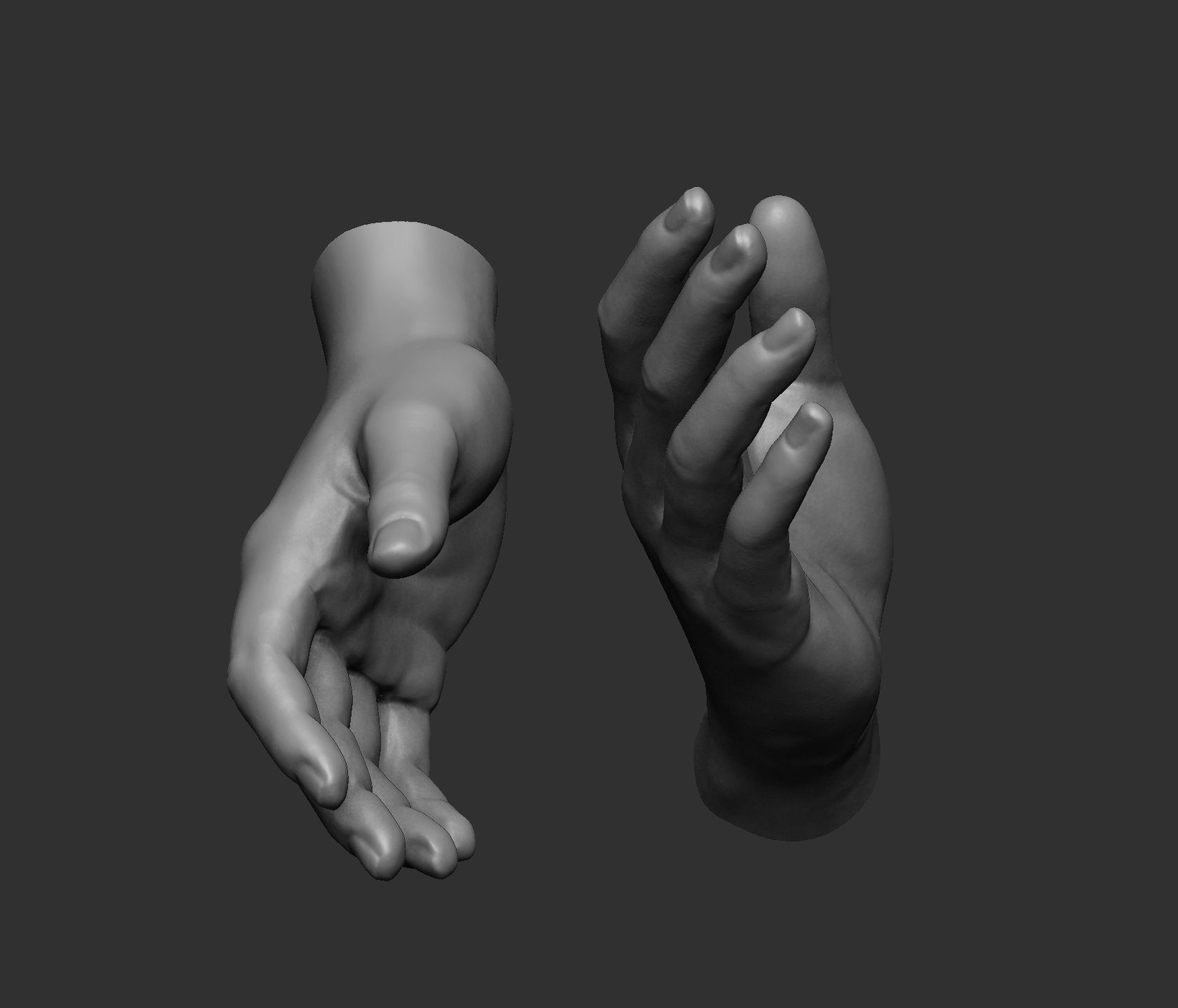 Female hand pose 1 3D print model_3