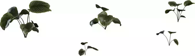 Realistic Tropical Houseplant Clump