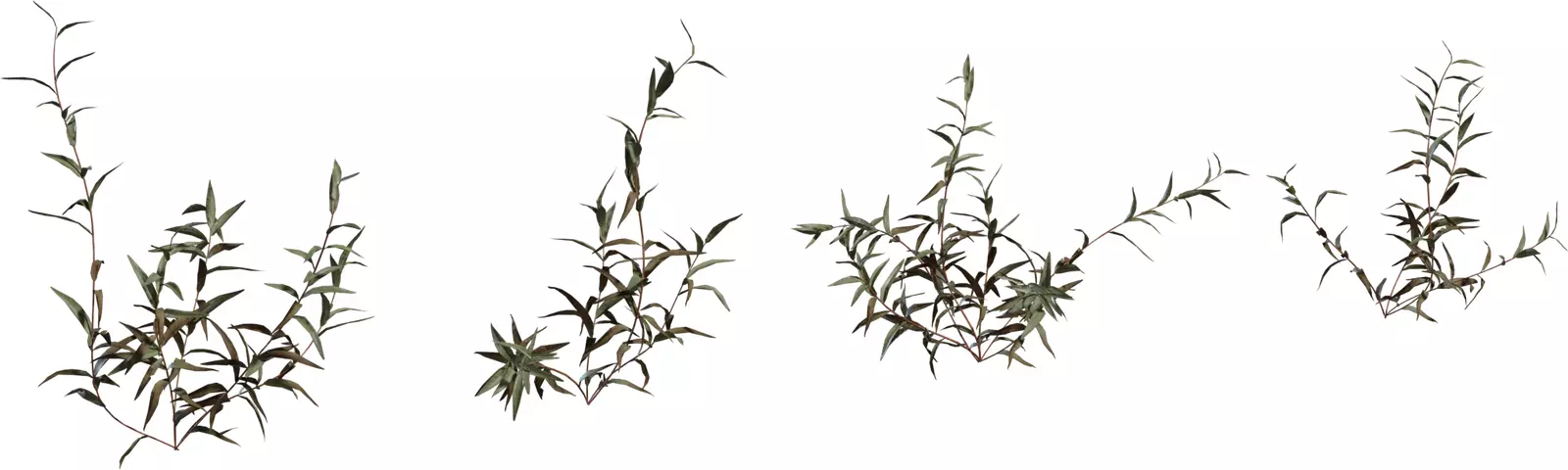 Realistic Dry Shrub Clump Low-poly 3D model