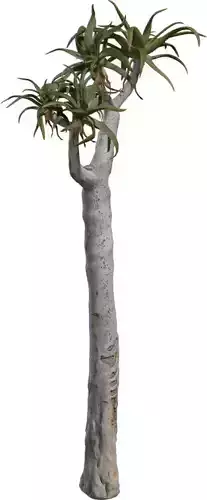 Realistic Desert Aloe Tree 