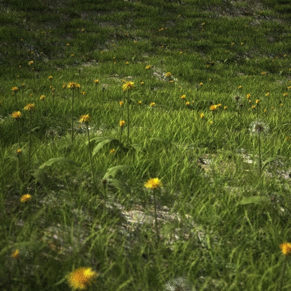 dandelion collection - 3D model_5