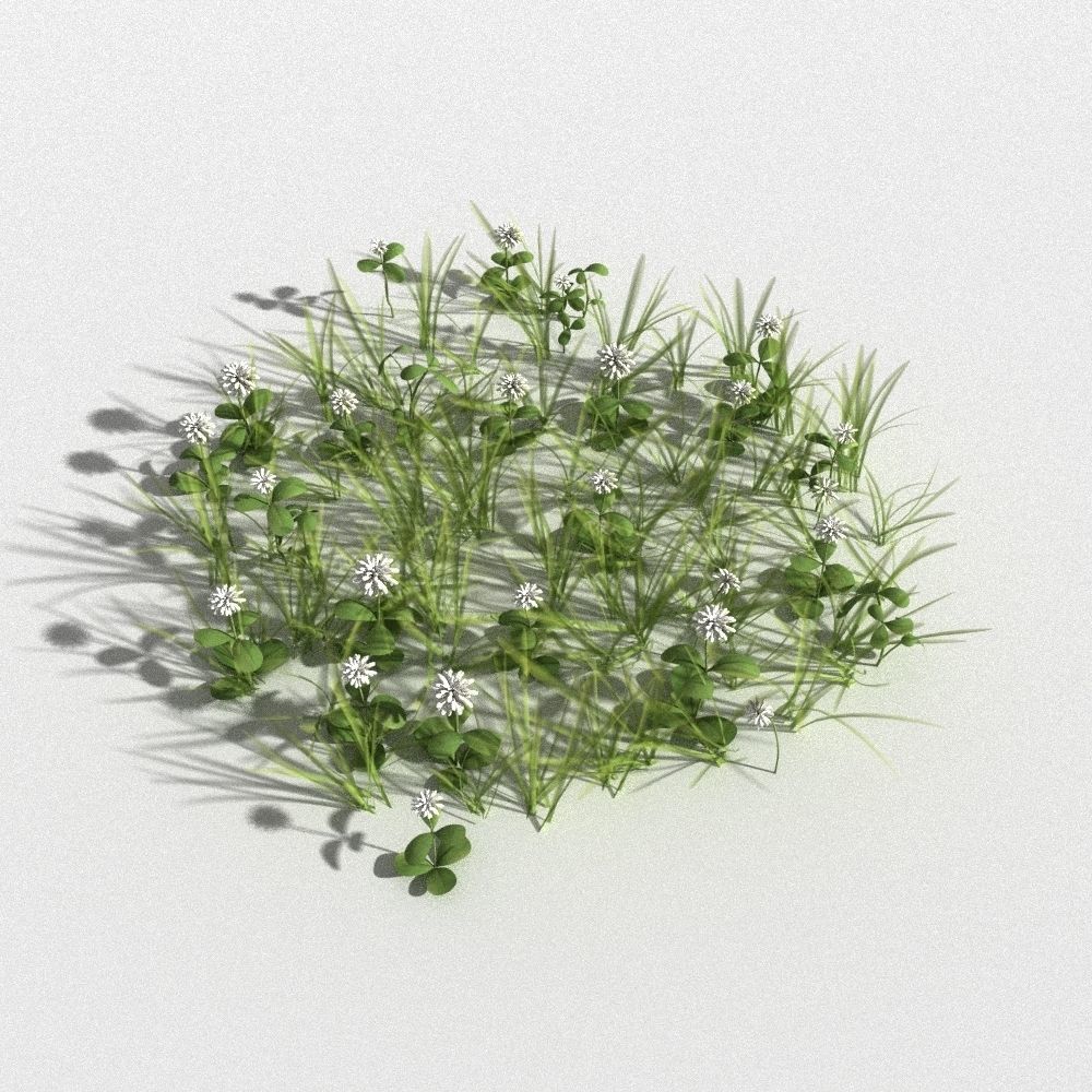 clover collection with gras patches 3D model_10