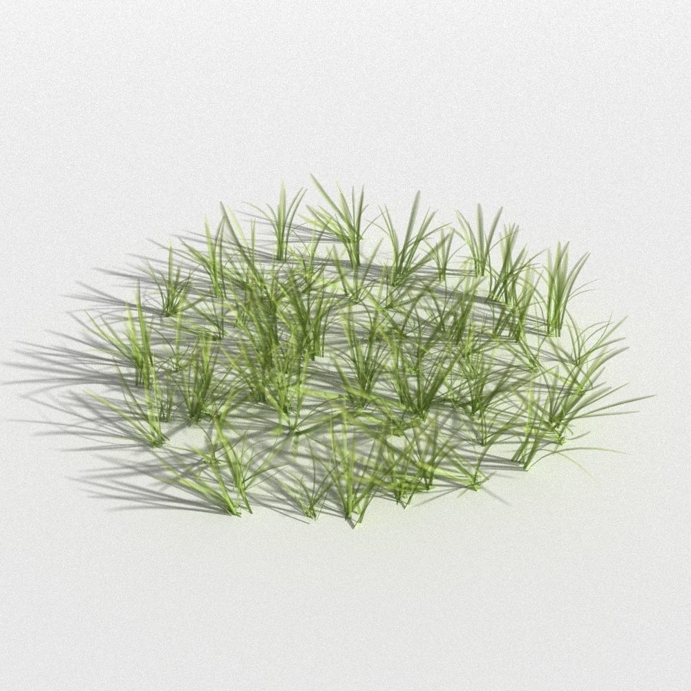clover collection with gras patches 3D model_7
