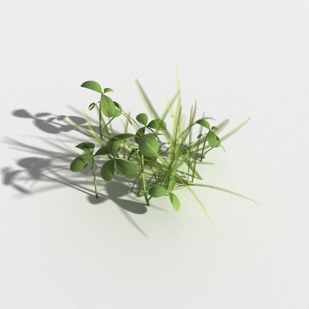 clover collection with gras patches 3D model_3