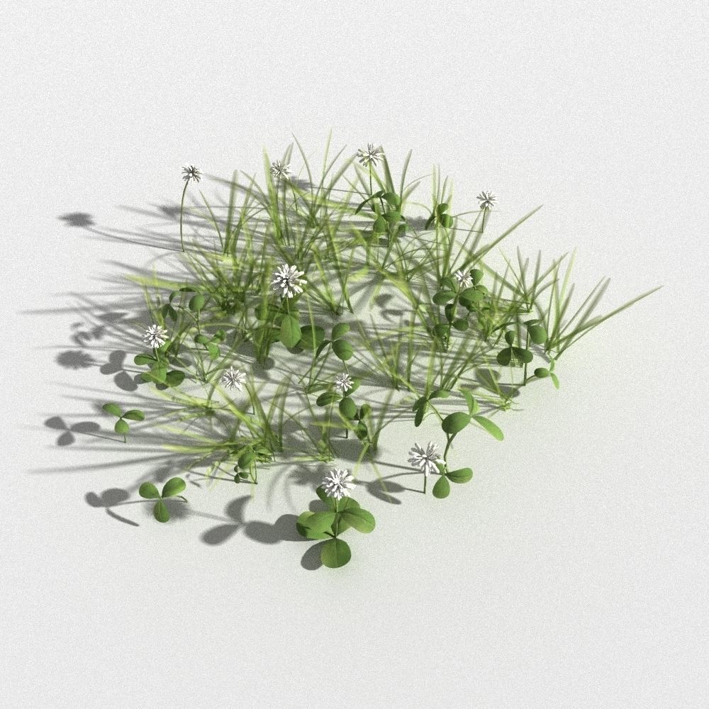 clover collection with gras patches 3D model_2