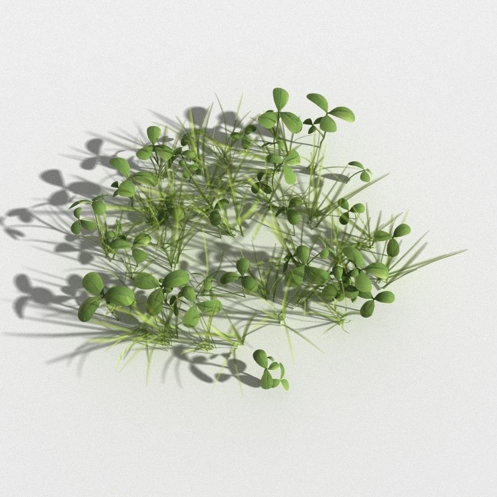 clover collection with gras patches 3D model_11