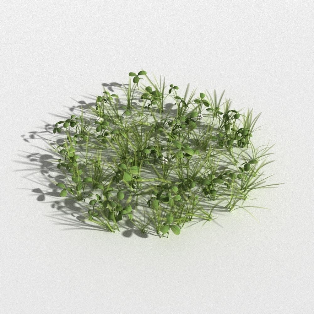 clover collection with gras patches 3D model_9