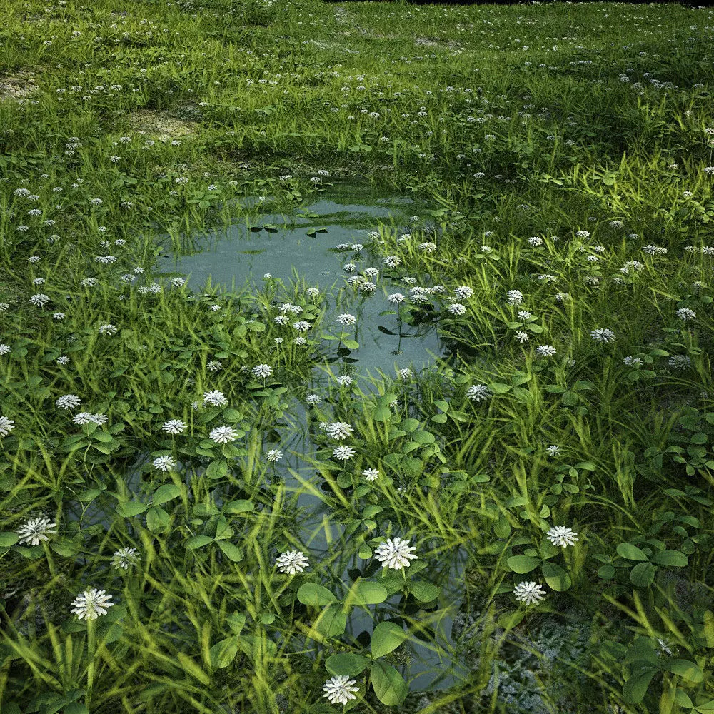 clover collection with gras patches 3D model_0