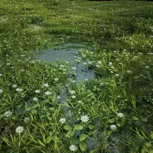  clover collection with gras patches 3D model