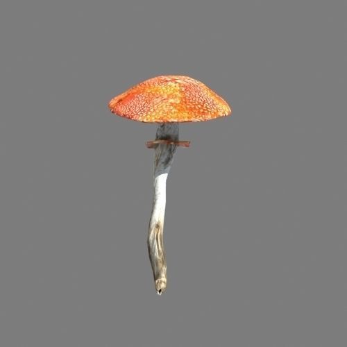 Mushrooms collection 01 3D model_3