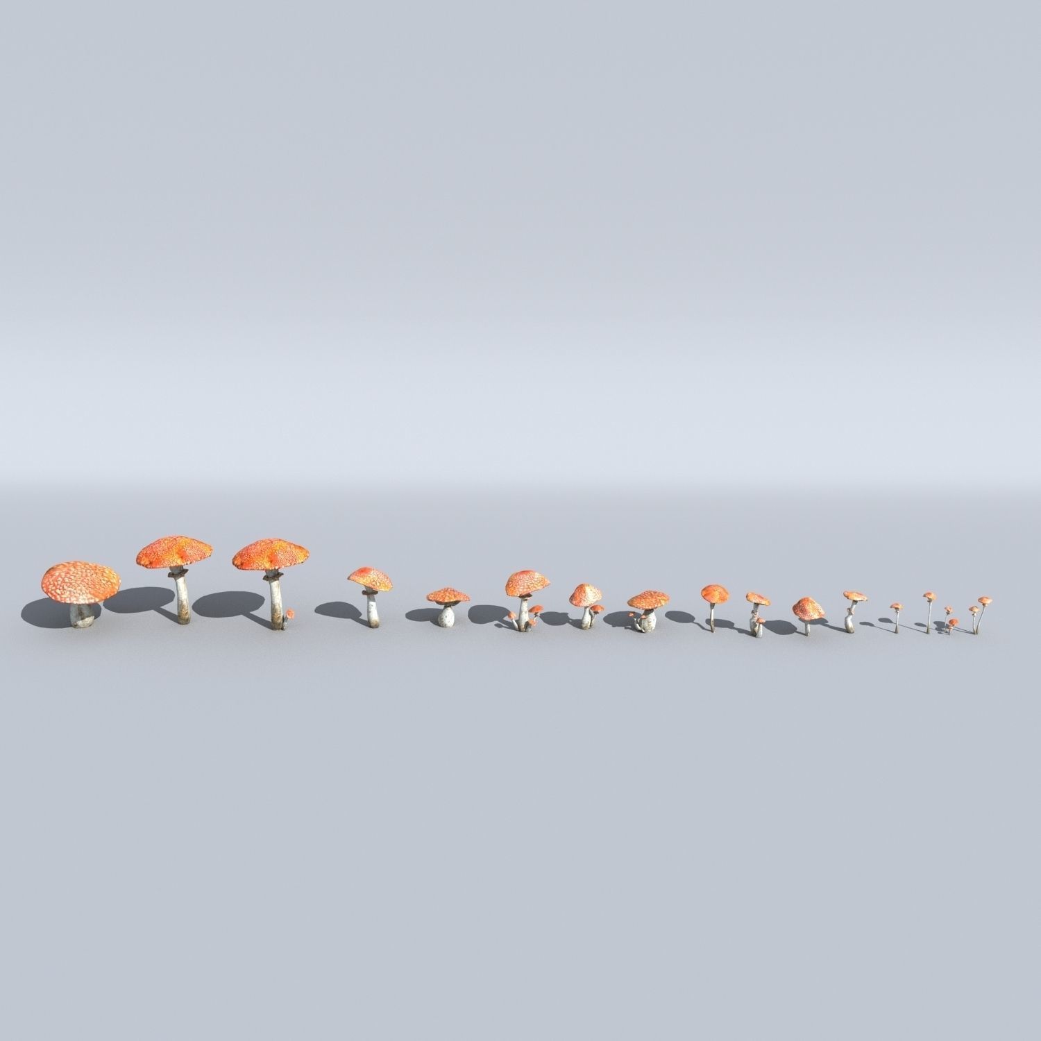 Mushrooms collection 01 3D model_1