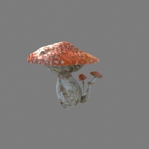 Mushrooms collection 01 3D model_16