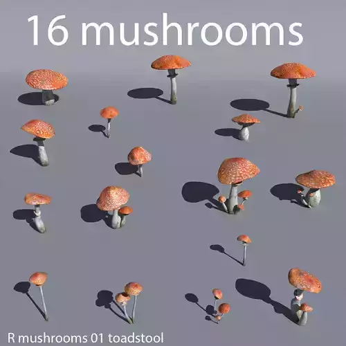 Mushrooms collection 01