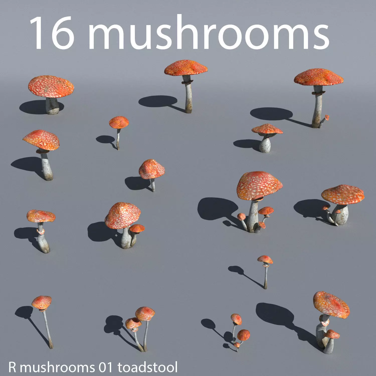 Mushrooms collection 01 3D model_0