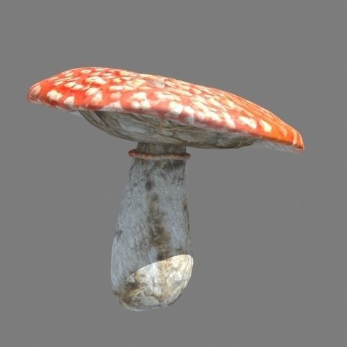 Mushrooms collection 01 3D model_10