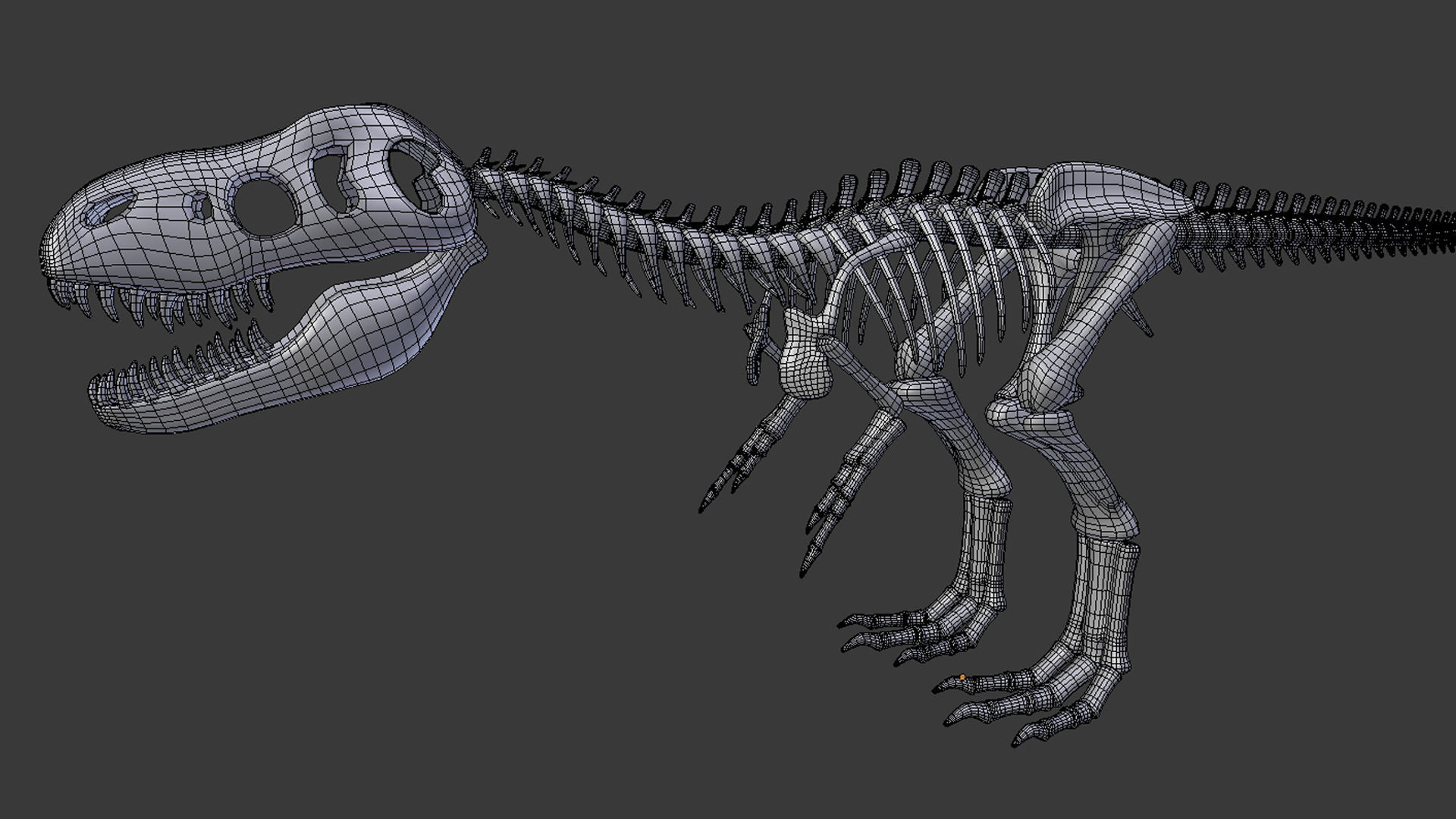 Tyrannosaurus Rex Skeleton 3D model_11