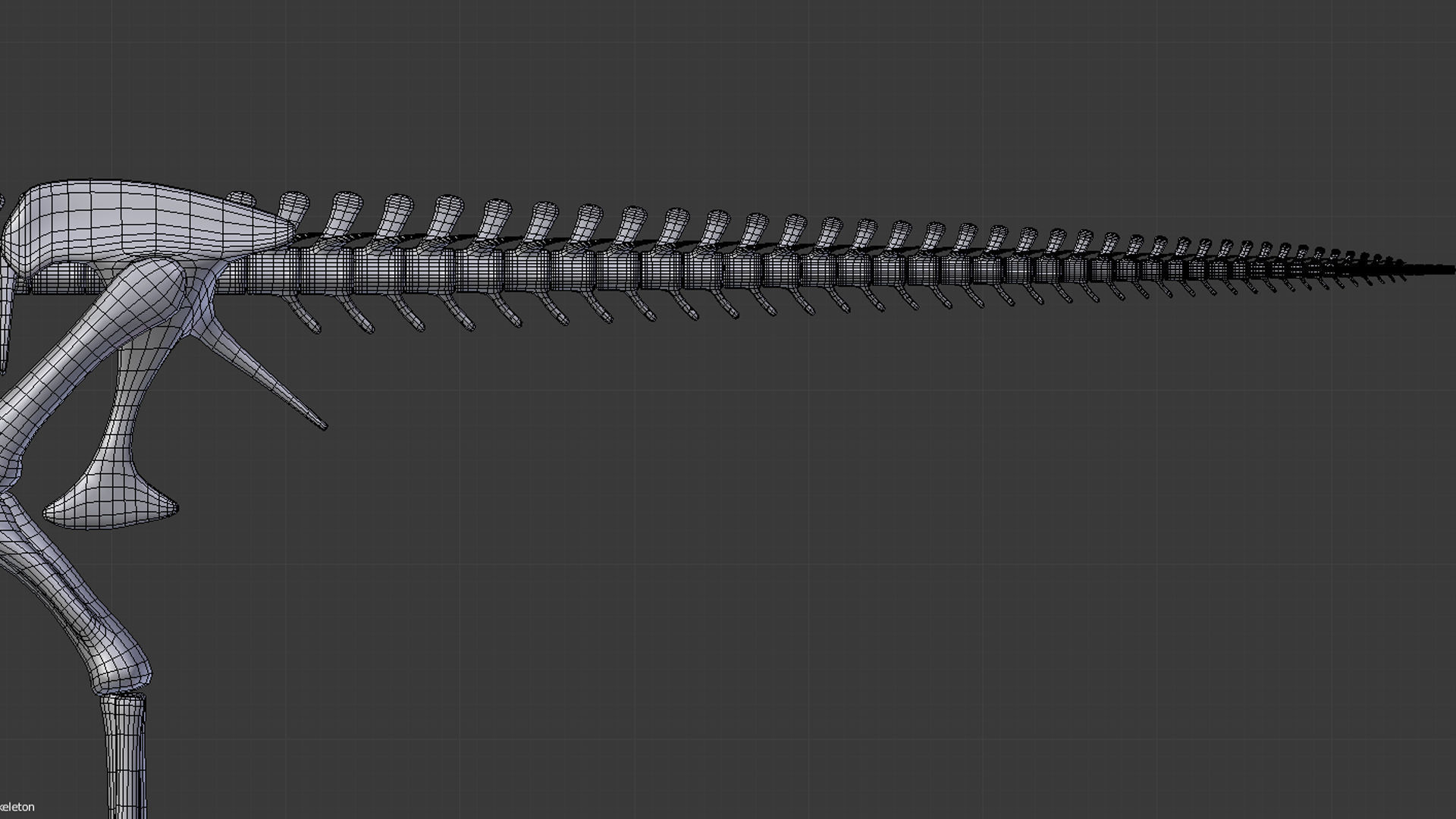 Tyrannosaurus Rex Skeleton 3D model_13