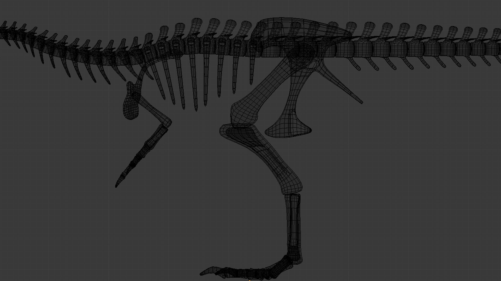 Tyrannosaurus Rex Skeleton 3D model_15