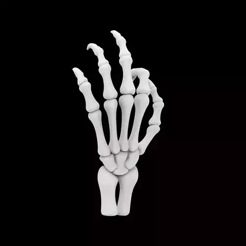 Dragon Skeleton Hand 3D Printable Model 3D print model