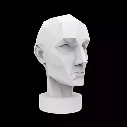 Geometric Head Bust 3D print model