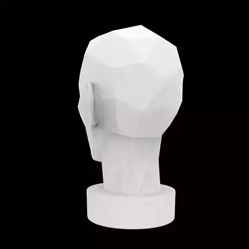 Geometric Head Bust