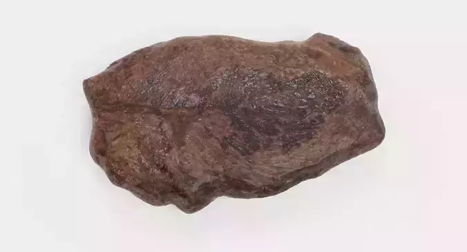 Animated Rump Steak - Raw to Rare Transformation 3D model 7