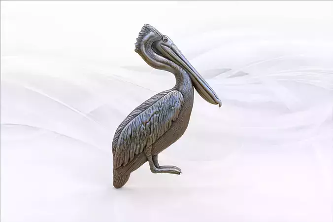 Pelican