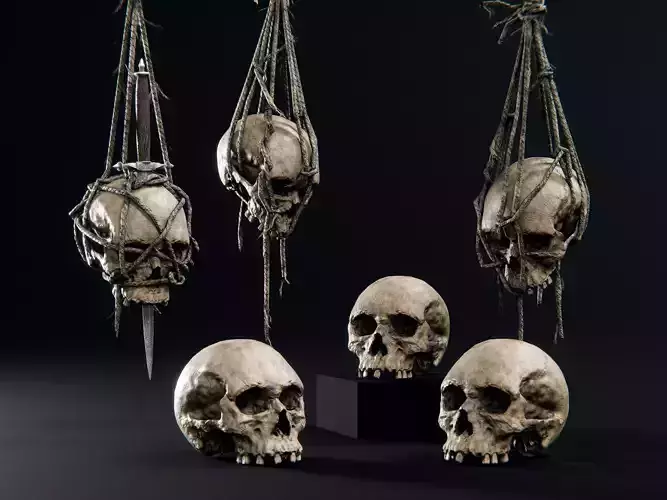 Skull and Hanging Skulls on Ropes