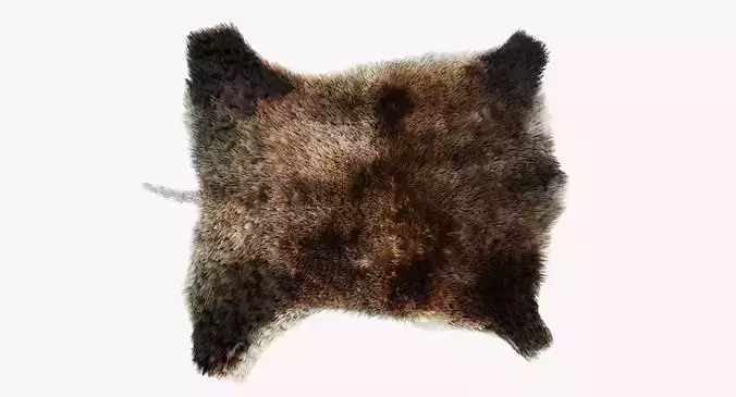 Boar Skin Rug - Realistic Animal Hide
