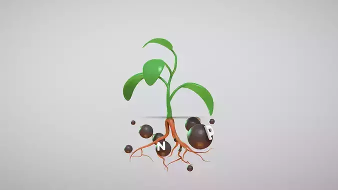 Plant Nutrition System