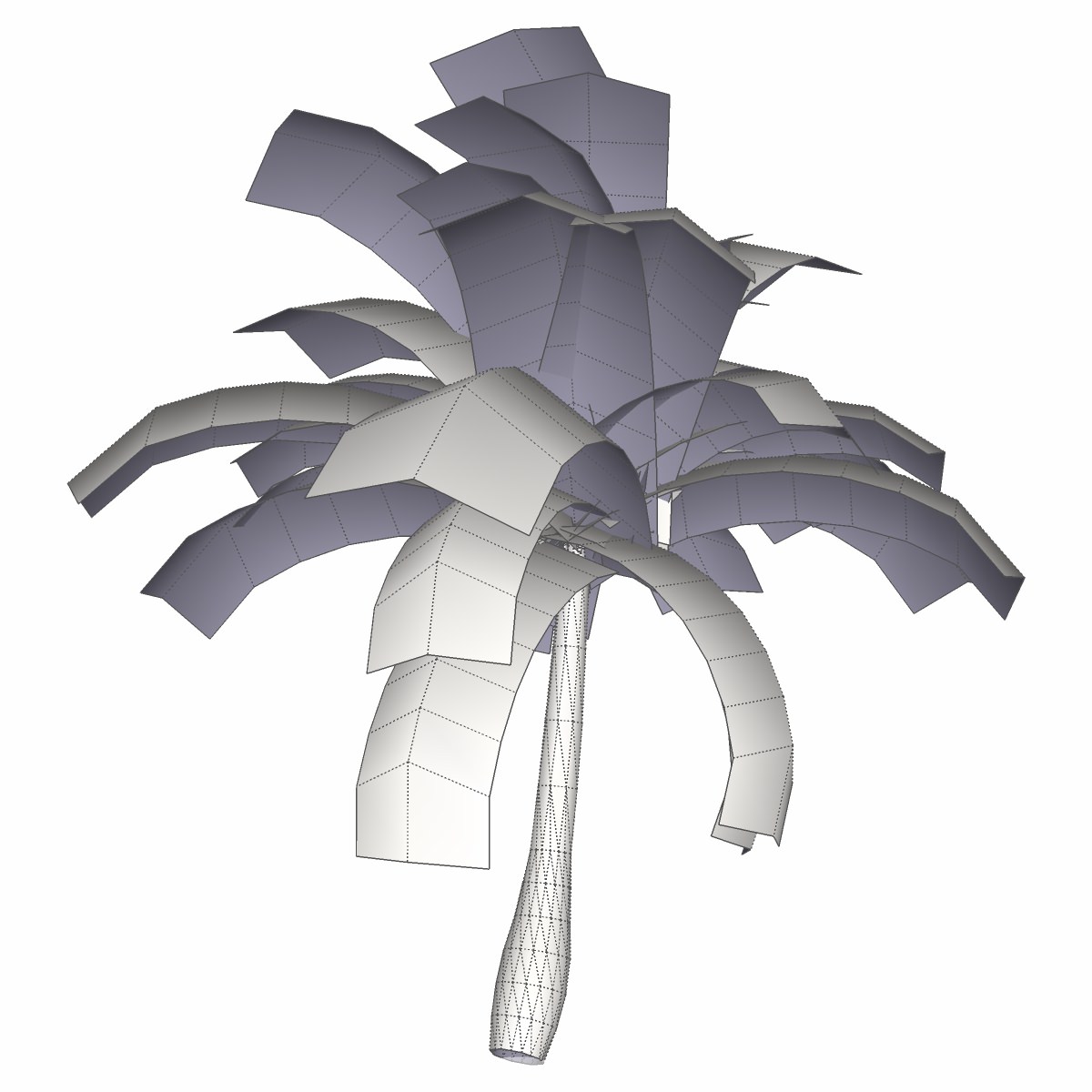Coconut Palm Tree - 03 med poly Low-poly 3D model_5