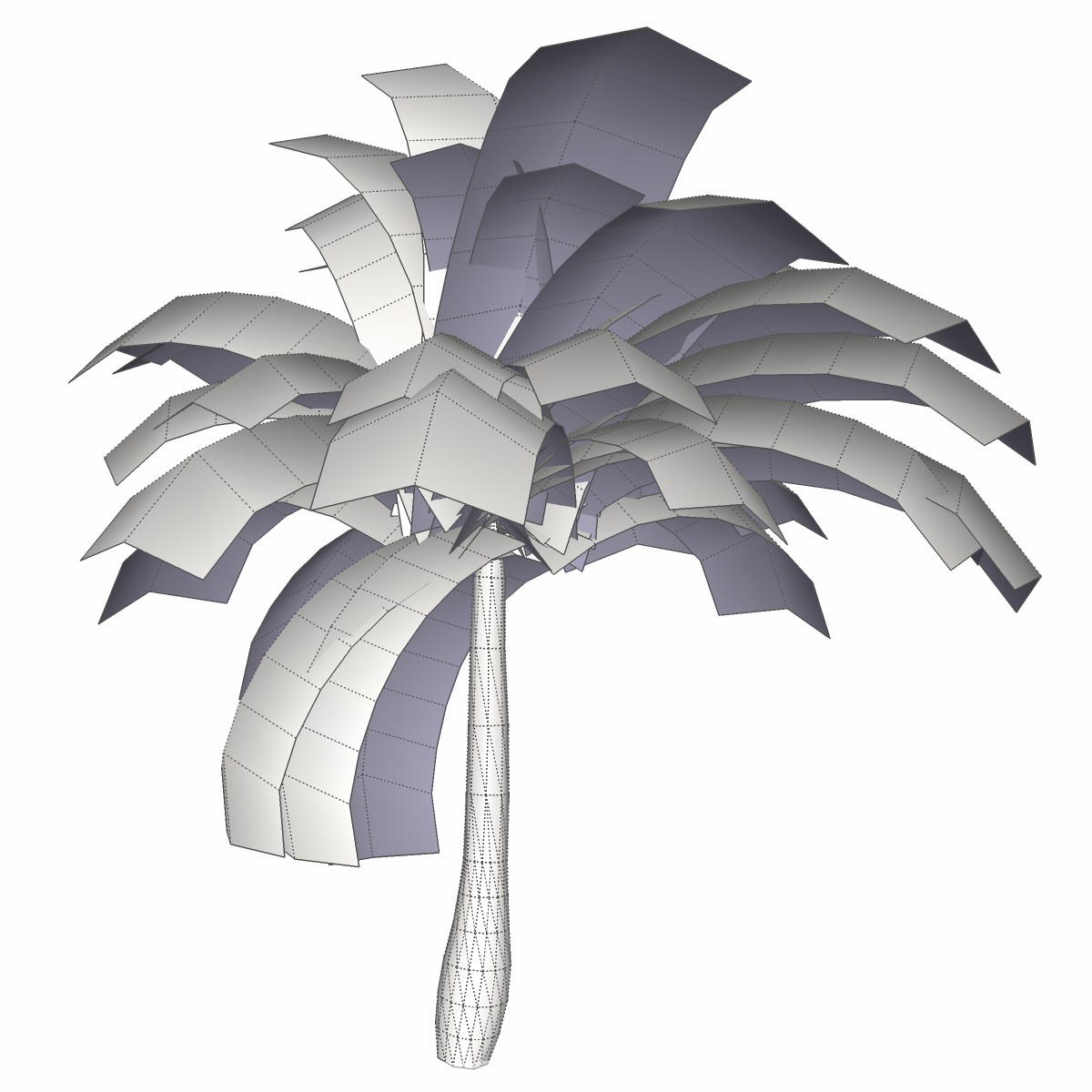 Coconut Palm Tree - 03 med poly Low-poly 3D model_4