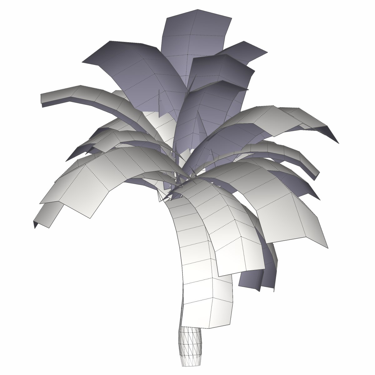 Coconut Palm Tree - 03 med poly Low-poly 3D model_3