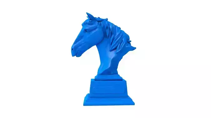 Riding trophy -  Equestrian Trophies 