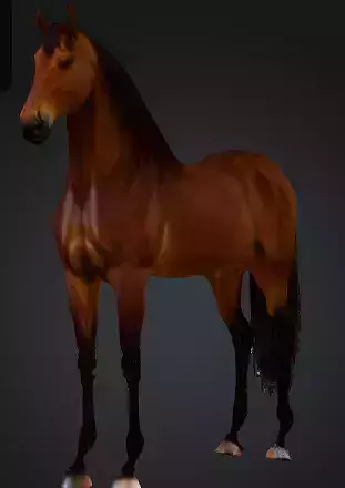 Elegant Brown Stallion