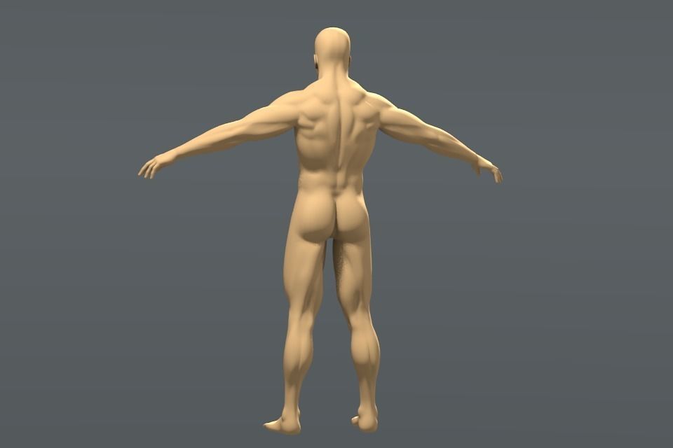 Muscleman male body 3D model_1
