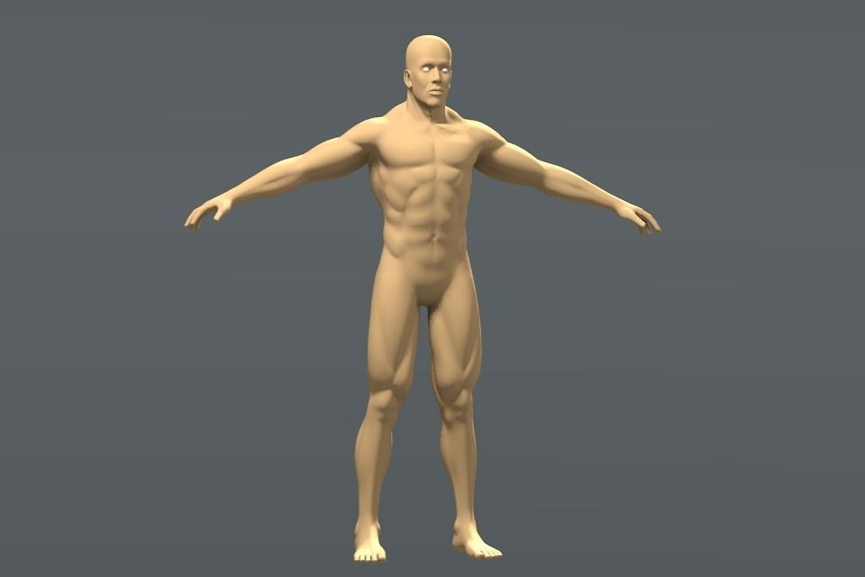 Muscleman male body 3D model_0
