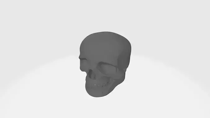 Skull on the car towbar