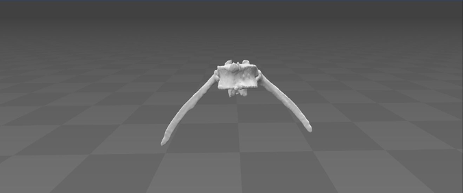  Thoracic vertebra T12 - male 3D model