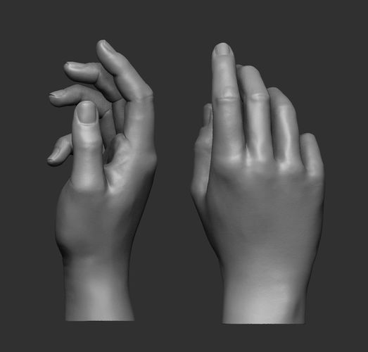 Female hand pose 2 3D print model