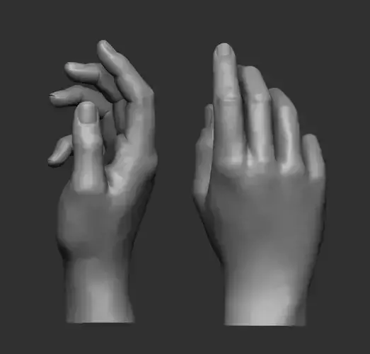 Female hand pose 2 3D print model