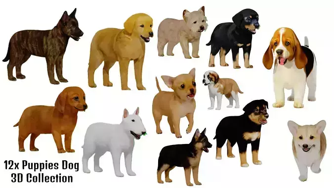 Dog Puppies 3D Collection