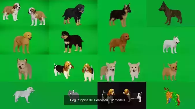 Dog Puppies 3D Collection