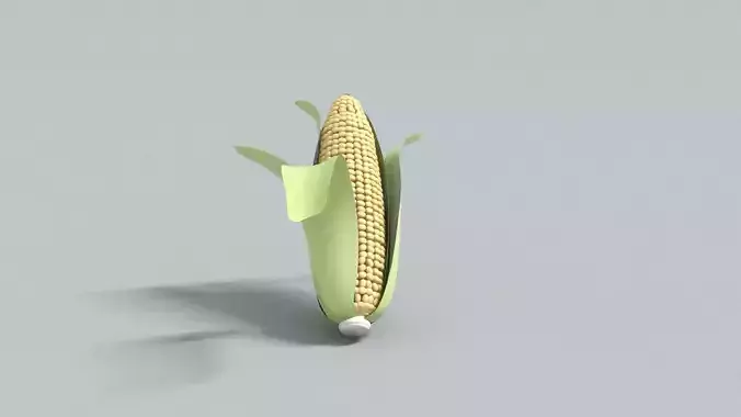 laos Corn on the cob