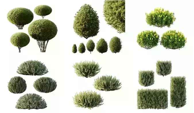 Excellent collection of Outdoor plants 23 Different Models 0035